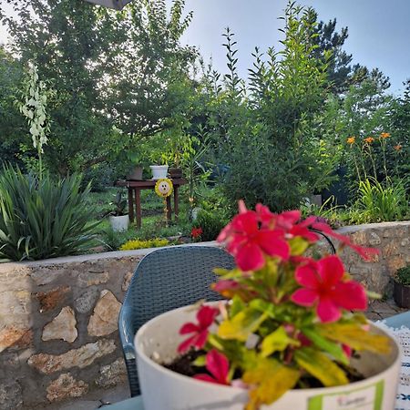 Villa Ella Ohrid Ngoại thất bức ảnh