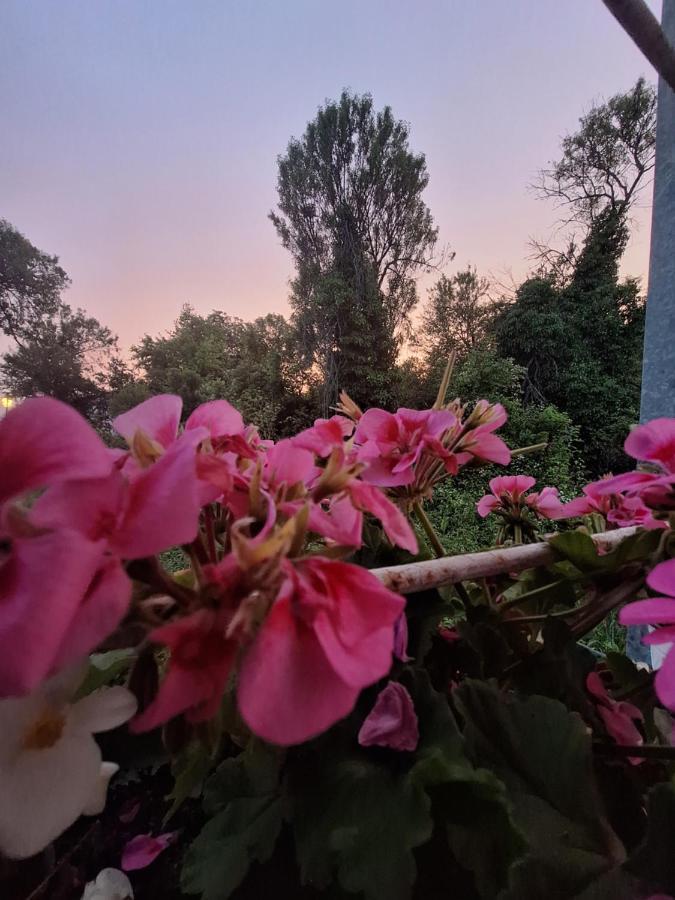 Villa Ella Ohrid Ngoại thất bức ảnh