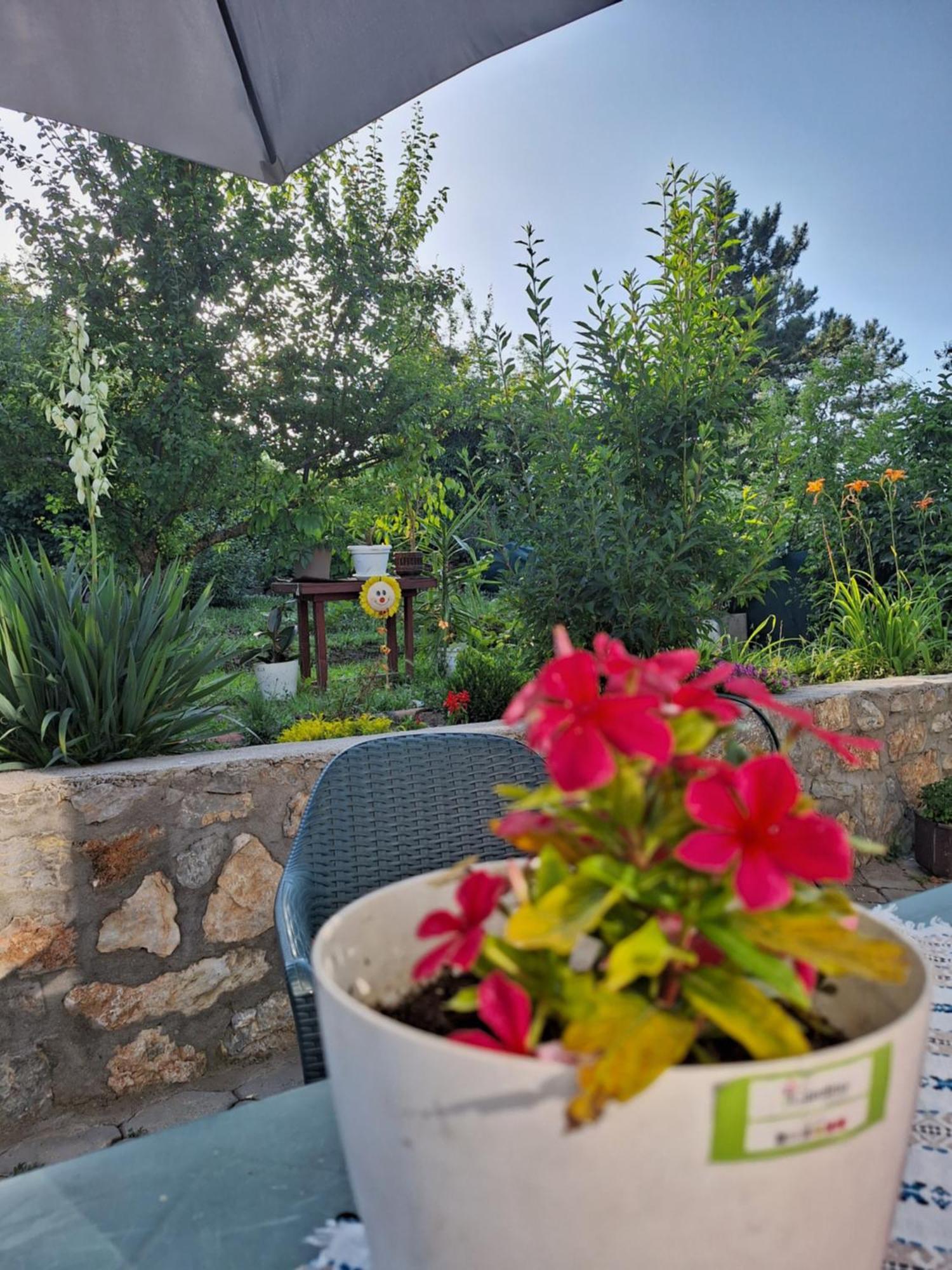 Villa Ella Ohrid Ngoại thất bức ảnh